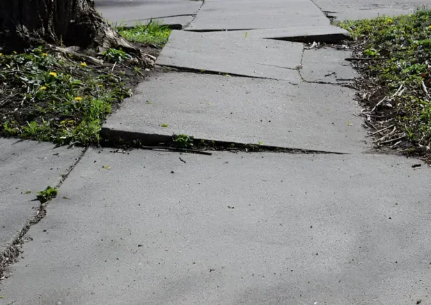 Concrete walkway with displaced and uneven panels